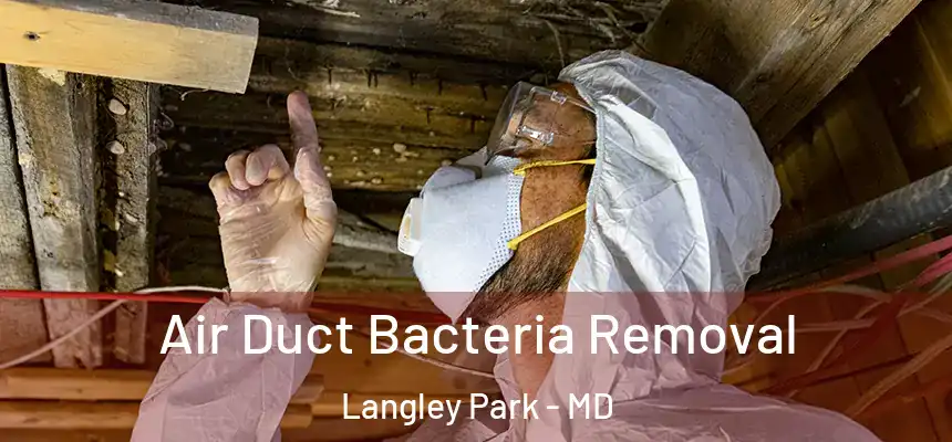 Air Duct Bacteria Removal Langley Park - MD