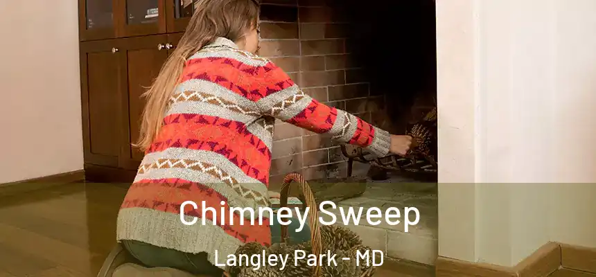  Chimney Sweep Langley Park - MD