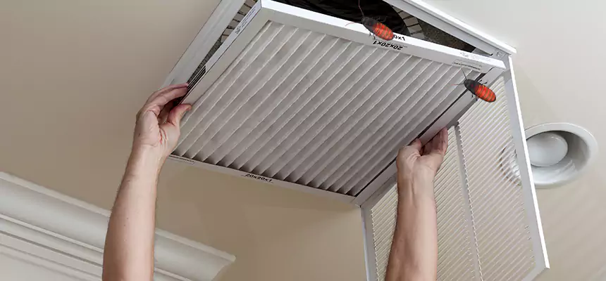 Preventive Cockroach-Proofing for Ducts in Langley Park