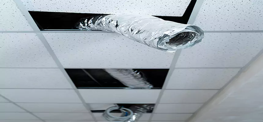 Our Air Duct Pet Hair Removal Services in Langley Park, MD