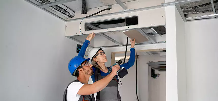 Our Air Duct Virus Disinfection Services in Langley Park, MD