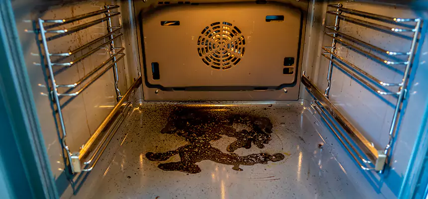 Our Dryer Vent Mold Cleaning Services in Langley Park, MD