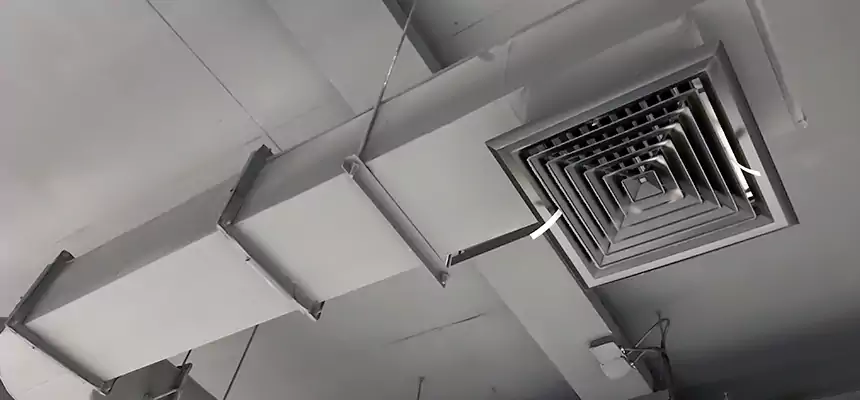 Our Pest Removal From Ducts Services in Langley Park, MD