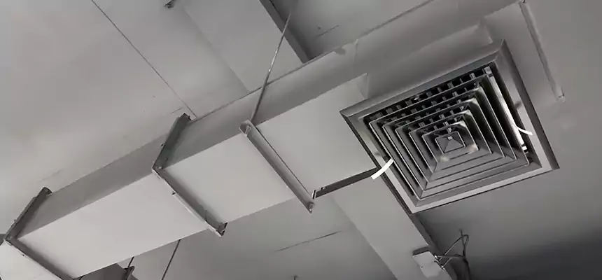 Our Rodent Droppings In Vents Services in Langley Park, MD