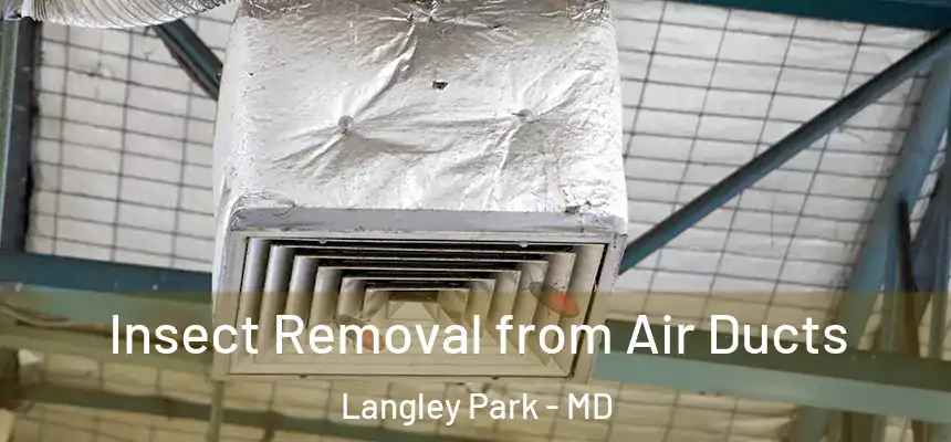 Insect Removal from Air Ducts Langley Park - MD