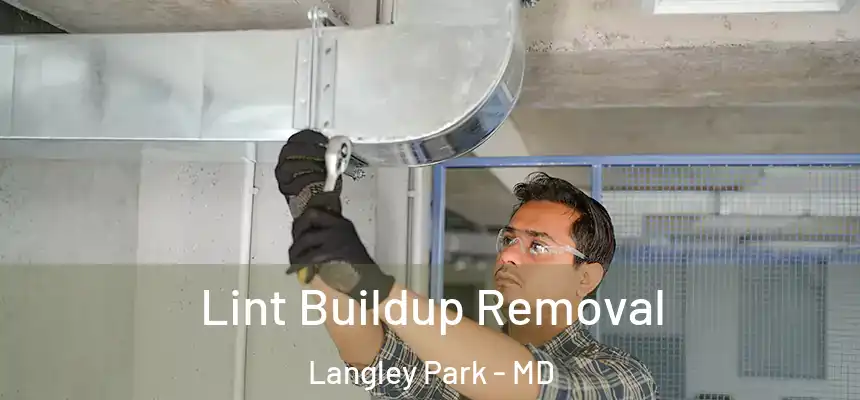  Lint Buildup Removal Langley Park - MD
