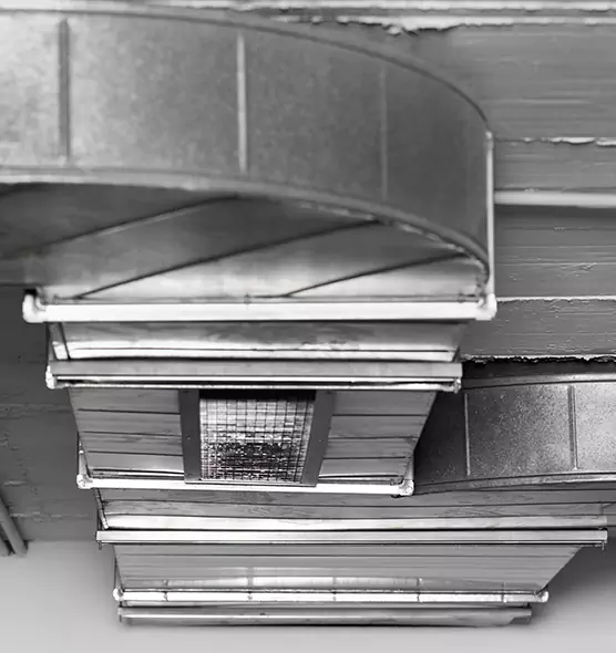 Professional Air Duct Pet Hair Removal in Langley Park, MD