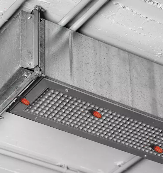 Affordable Insect Removal from Air Ducts in Langley Park, MD