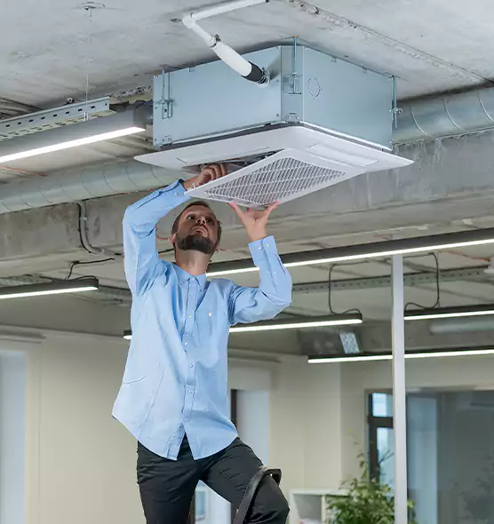 Advanced Rodent Droppings In Vents in Langley Park, MD