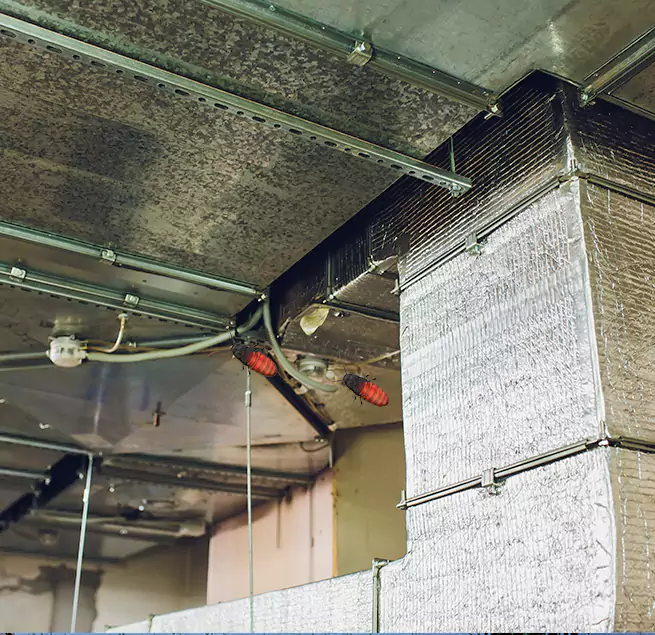 Why Homeowners & Businesses Trust Us in Langley Park, MD?