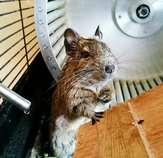 Why Homeowners & Businesses Trust Us Langley Park, MD?