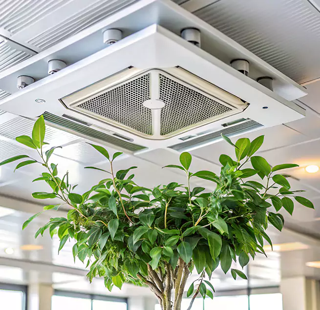 Why Homeowners & Businesses Trust Us in Langley Park, MD?